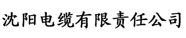 混混和他的乖乖趣笔阁电缆厂logo